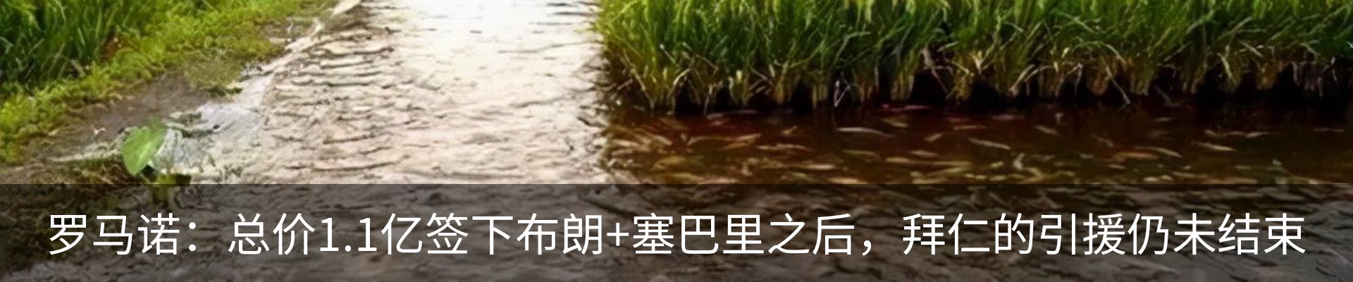 资讯中心